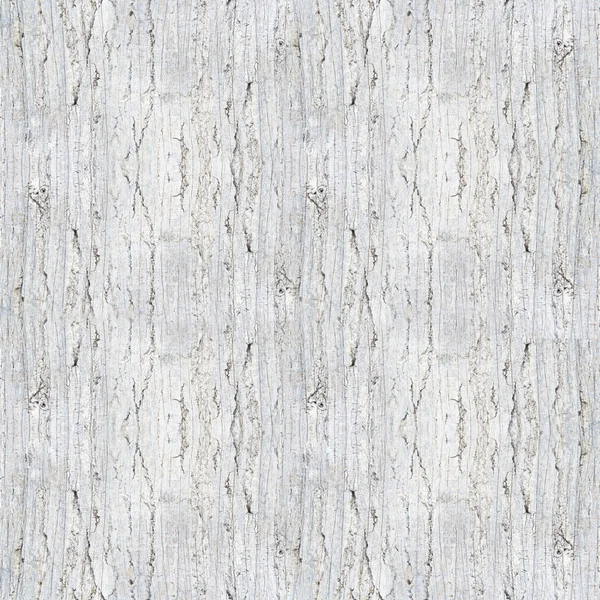 White trunk texture — Stock Photo, Image
