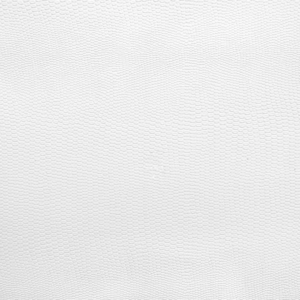 Textura de couro branco — Fotografia de Stock