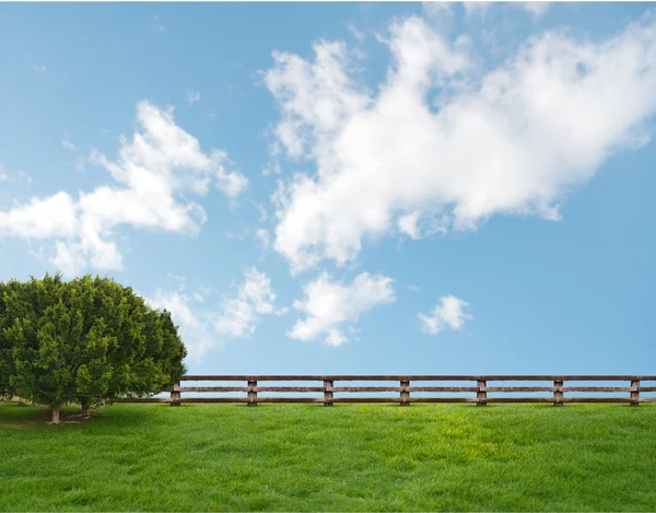 Prachtig landschap — Stockfoto