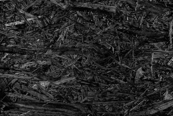 Black wood texture — Stock Photo, Image