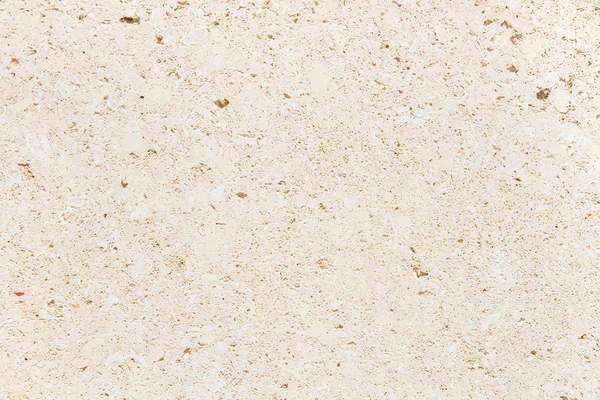 Conchas azulejo textura fóssil — Fotografia de Stock