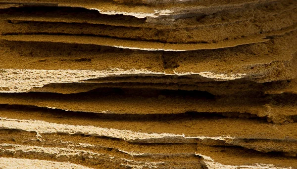 Fossil sand texture — Stock Photo, Image