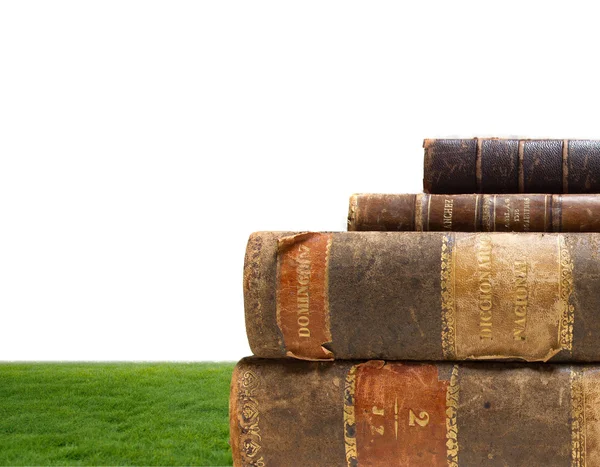 Old books on green grass — Stock Photo, Image