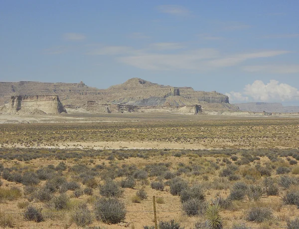 Desierto árido —  Fotos de Stock