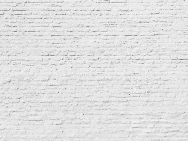 Mur en brique blanche — Photo