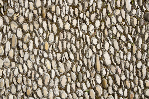 Stone texture background — Stock Photo, Image