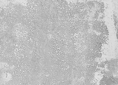 Çimento doku arka plan