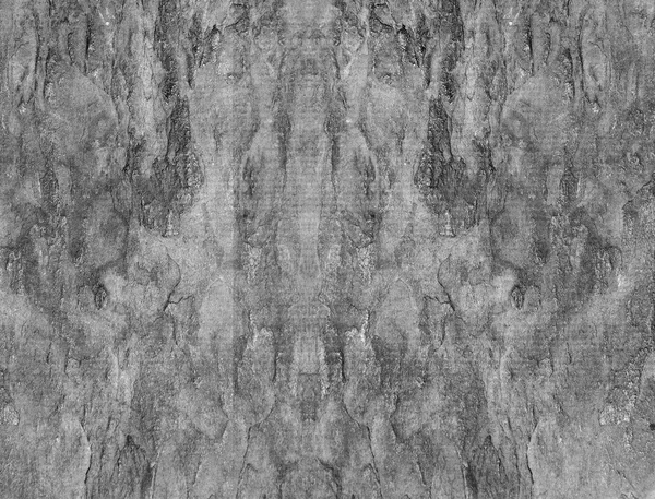 Gray stone texture — Stock Photo, Image