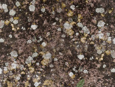 Taş dokusu arkaplanı