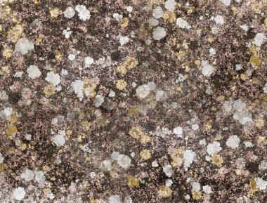 Taş dokusu arkaplanı