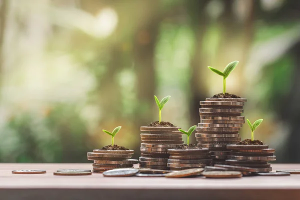 Coin Stack Growing Graph Plant Growing Coins Green Bokeh Background — Stok fotoğraf