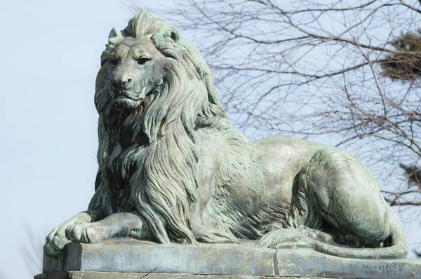 Lion statue
