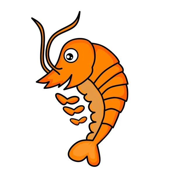 Cartoon Illustration Design Cute Orange Shrimp — Stock Vector