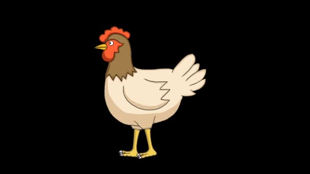Animacja Wideo Kreskówka Kurczaka Chodzącego Czarnym Tle — Wideo stockowe