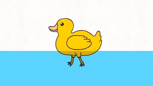 Vídeo Animado Bidimensional Pato Nadando Água — Vídeo de Stock