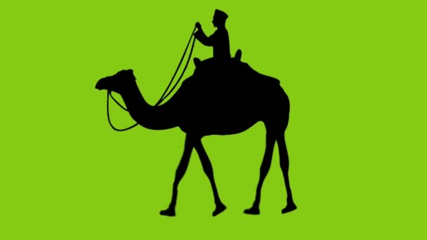 Green Screen Video Silhouettes Animation People Riding Camels Walking — Stock Video