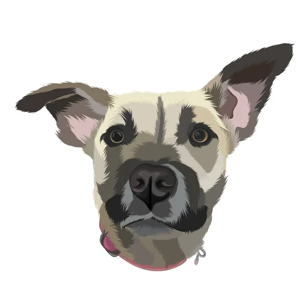 Коричневый Рисунок Лица Собаки — стоковый вектор