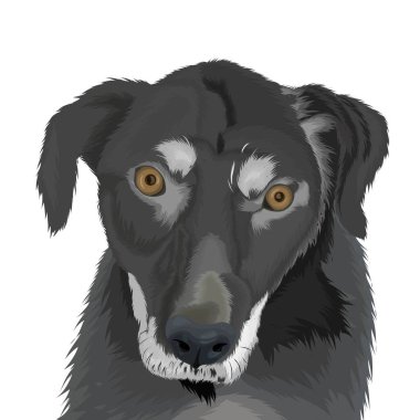 Şirin kahverengi köpek yüz vektör tasarımı