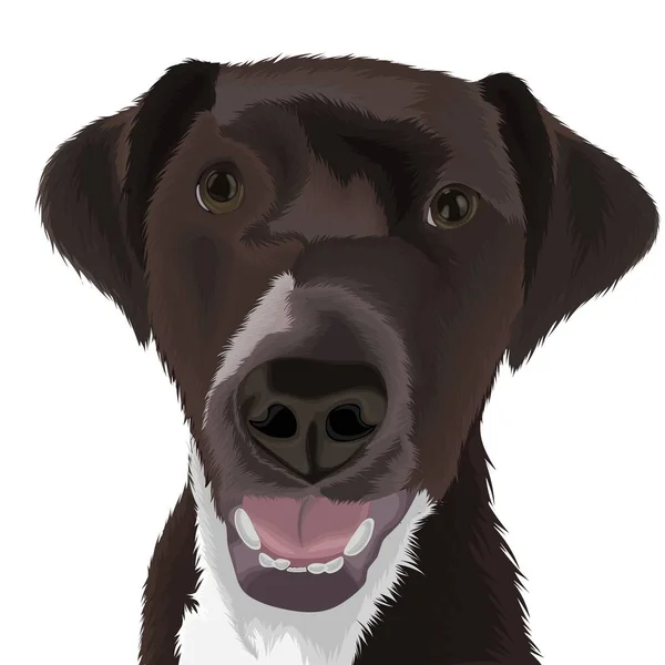 Cute Brown Dog Face Vector Design — Stock Vector