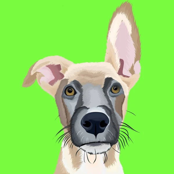 Vector Linda Cara Perro Marrón Sobre Fondo Verde — Archivo Imágenes Vectoriales