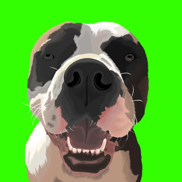 Desin Vektor Roztomilý Pes Tvář Zeleným Pozadím — Stockový vektor