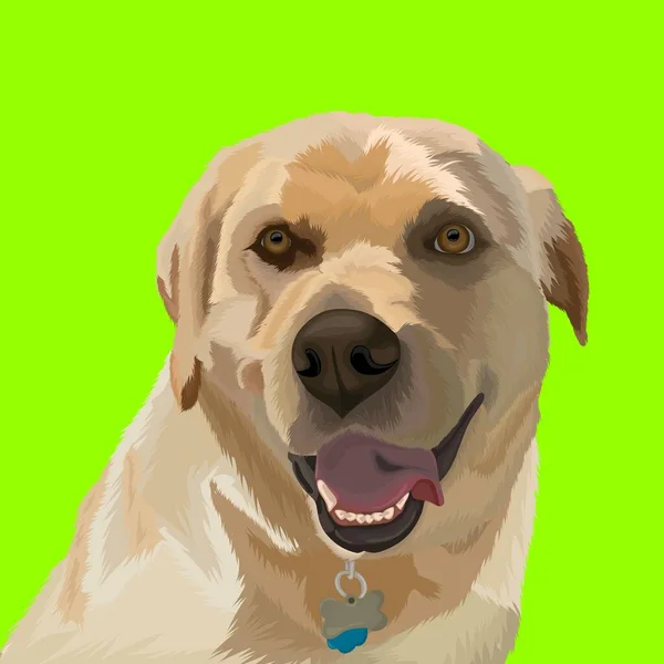 Desin Vecktor Niedliches Hundegesicht Mit Grünem Hintergrund — Stockvektor