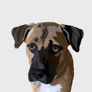 Şirin kahverengi köpek surat vektör tasarımı