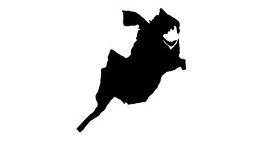 Amersfoort haritası Hollanda 'da siluet