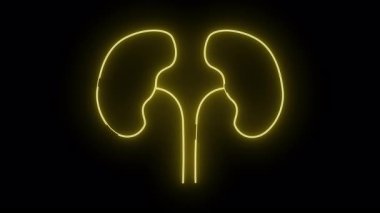 Siyah arka planda parlayan neon sarısı böbrekler.
