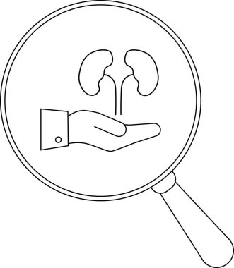 Bir büyüteç, böbrekleri tutan bir ele odaklanır.