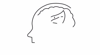 Beyin yaprağıyla ana hatları.