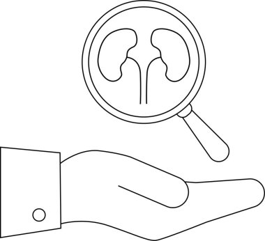 Bir el, böbreklere odaklanan, sağlık analizini ve organ muayenesini sembolize eden bir büyüteç tutuyor..