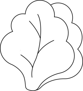 Eğitim materyalleri, gıda tasarımları veya boyama sayfaları için mükemmel bir marul başlığının net ve basit bir tasviri.