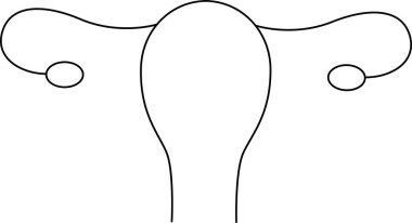 Dişi üreme sistemini gösteren açık ve basit bir diyagram, rahim, yumurtalıklar ve fallop tüpleri, eğitim ve tıbbi amaçlar için idealdir..