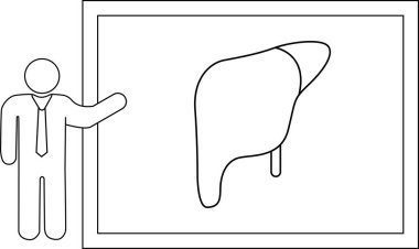 Sunucu bir karaciğerin diyagramına işaret ederek, anatomisini veya işlevini bir sunum ortamında açıklar.