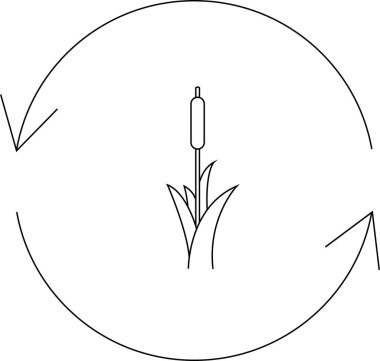 Daire şeklinde okla çevrili, yaşam döngüsünü veya büyüme sürecini temsil eden bir yayın kuyruğu bitkisinin basit bir çizimi.