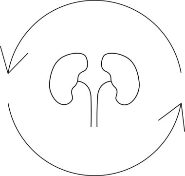 Dairesel bir döngü içinde böbrekleri tasvir eden, böbrek sağlığını, işlevini ve sürekli filtreleme ve denge sürecini sembolize eden minimalist bir sanat çizgisi..