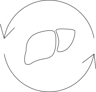 Karaciğeri dairesel bir okun içinde tasvir eden minimalist bir çizgi çizimi, zehirlenmeyi ve karaciğerin doğal temizlik sürecindeki rolünü sembolize ediyor..