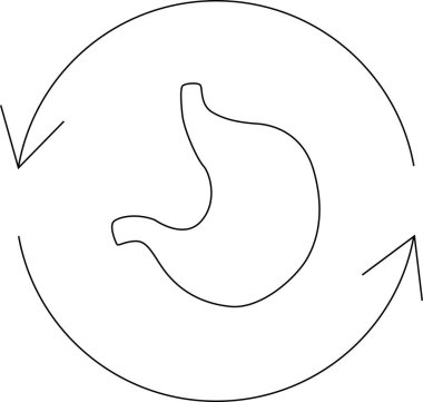 Dairesel oklarla basit bir mide çizimi, sindirimi, sağlığı ve bedensel süreçlerin döngüsel doğasını sembolize eder..