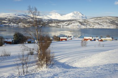 Kış görünümü Lavangen fiyort ve Soloy Köyü, Troms İlçesi, Norveç.