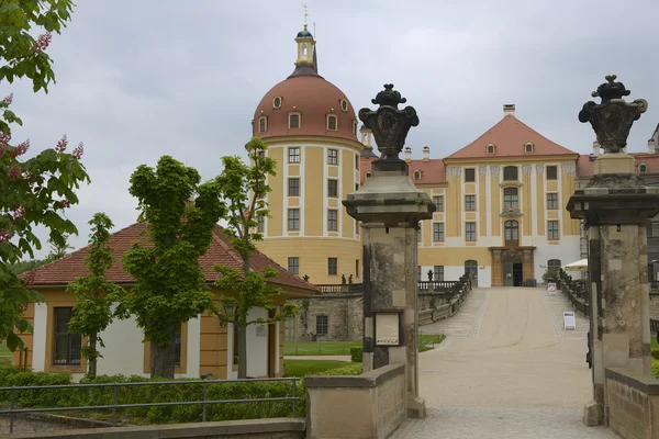 Κάστρο Moritzburg στα τέλη της άνοιξης, Σαξωνία, Γερμανία. — Φωτογραφία Αρχείου