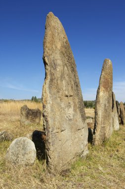 Gizemli megalitik Tiya taş sütunlar, Unesco Dünya Mirası, Etiyopya.