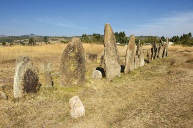 Gizemli megalitik Tiya taş sütunlar, Unesco Dünya Mirası, Etiyopya.