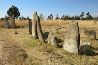 Gizemli megalitik Tiya taş sütunlar, Unesco Dünya Mirası, Etiyopya.