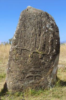 Gizemli megalitik Tiya taş sütunlar, Unesco Dünya Mirası, Etiyopya.