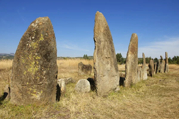 Mystérieux piliers de pierre mégalithique Tiya, site du patrimoine mondial de l'UNESCO, Éthiopie . — Photo