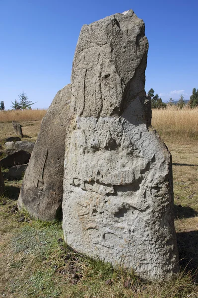 Misteriosos pilares megalíticos de piedra de Tiya, Patrimonio de la Humanidad por la UNESCO, Etiopía . — Foto de Stock