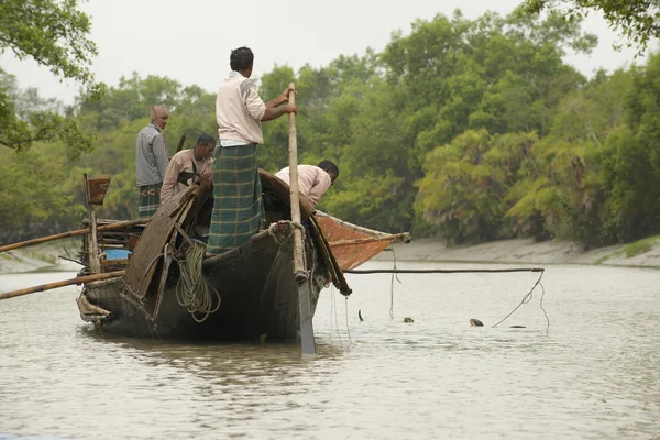 Men do fishing with otters  in Mongla, Bangladesh. — Stock Photo, Image