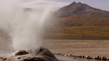 Patlayan Şofben El Tatio Şofben Valley, deniz seviyesinden 4320 metre. Şili'deki turistik konumlar.