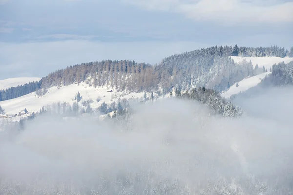 Winter fog at the Pilatus mountain, Luzern, Switzerland. — Stock Photo, Image